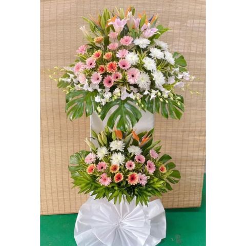 photo_6265063048465204733_y