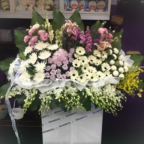 3ce7c38a-cef6-47e9-b75c-1b3ea1a53139