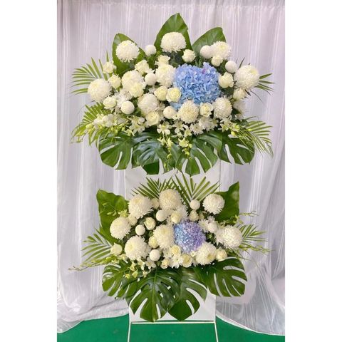 photo_6265063048465204768_y