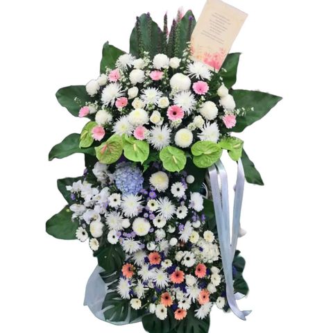 photo_6265063048465204769_y