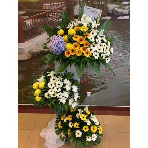 photo_6265063048465204770_y