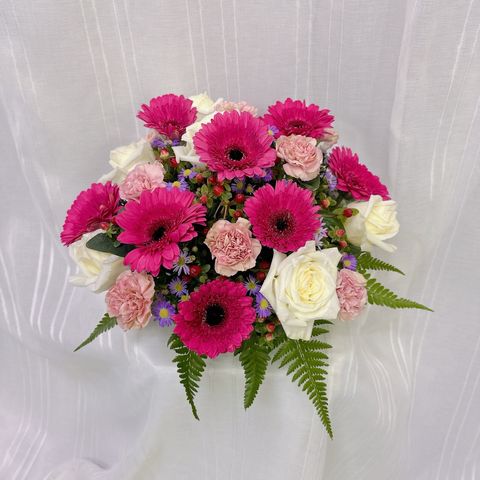 photo_6211025273185484932_y