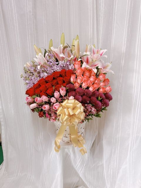 photo_6247014754073821025_y