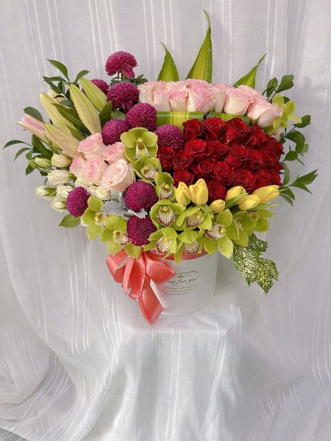 photo_6212874643153470063_y (1)