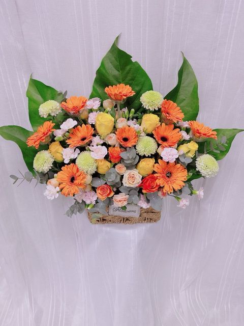 photo_6235779458929902605_y