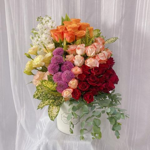 photo_6211025273185484916_y