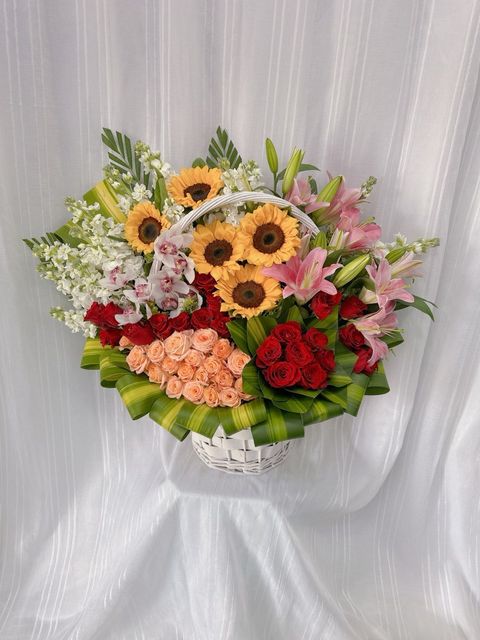 fc29bd48-51cc-4883-a6ff-5f875cfaf4f0