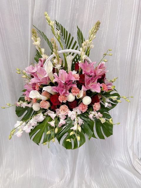 photo_6204249056037946477_y