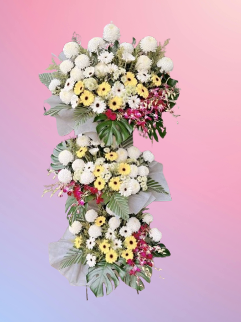 6275798718653515277-removebg-preview (1)