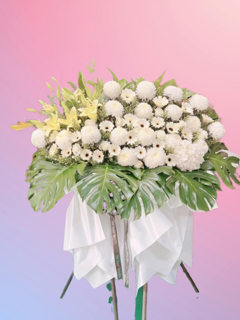 6275798718653515278-removebg-preview (1)