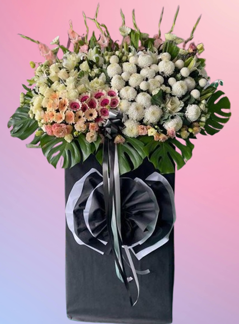 6275798718653515317-removebg-preview