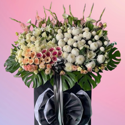 6275798718653515317-removebg-preview