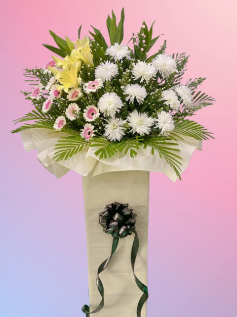 4e615bd4-5f72-4af2-be6a-a9873ff78850-removebg-preview