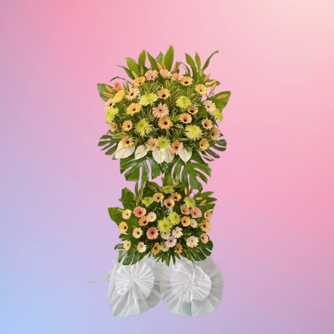 46b50863-3c31-4f6c-b688-0599d1fb4e07-removebg-preview