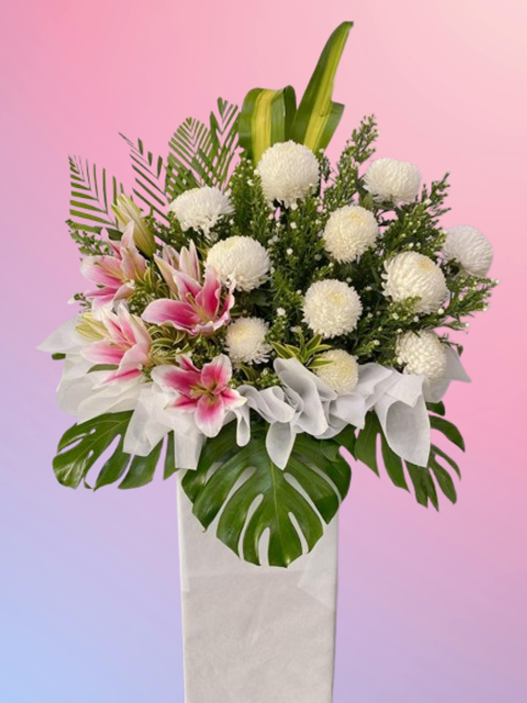 48a40ed3-de8b-4b56-9927-2ce3dfc81f58-removebg-preview