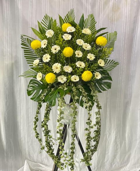 873f0cec-1a9d-4afc-8d5d-280d9c545493