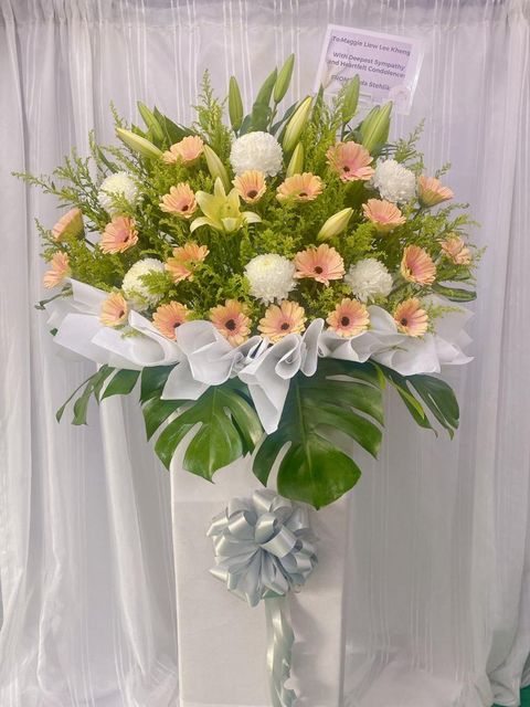 1095777f-d6e1-4fe9-b8ab-783a80a43850