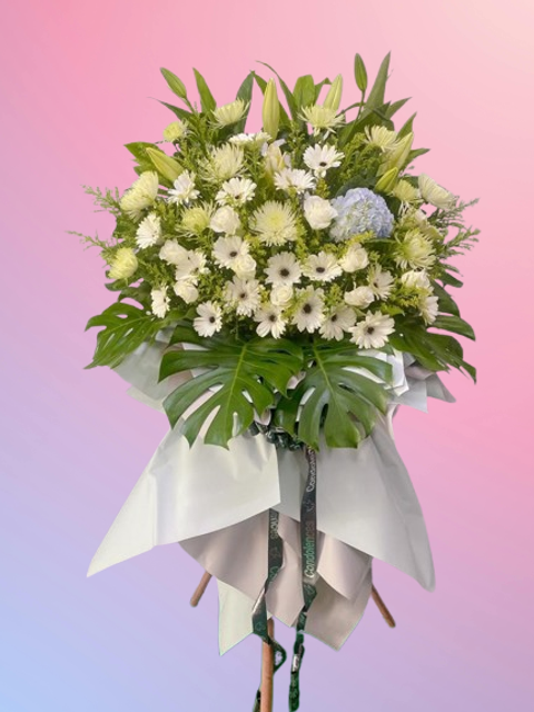 6275798718653515291-removebg-preview