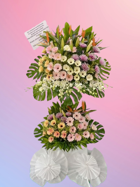 6275798718653515295__1_-removebg-preview