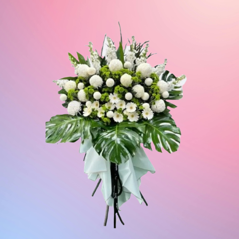 1743397960557-removebg-preview