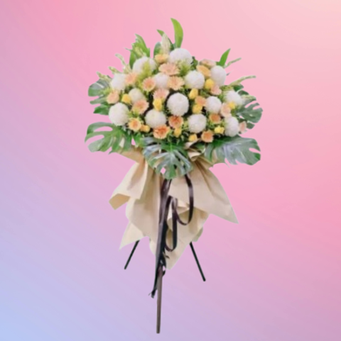 1743662947170-removebg-preview