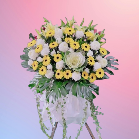 1743663624430-removebg-preview