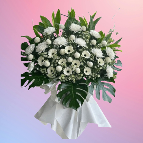 85071912__1_-removebg-preview