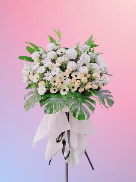 85016369-removebg-preview