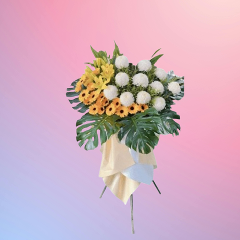 85071420-removebg-preview