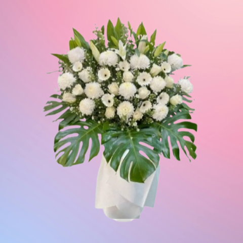 04_09_2025_X-Design-removebg-preview