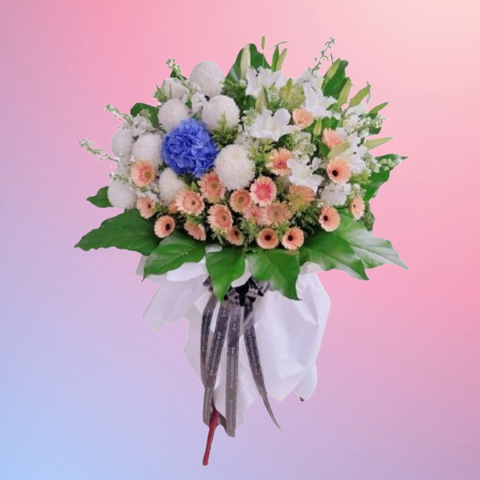 85068208-removebg-preview