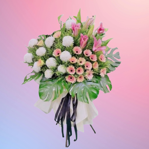 85067756-removebg-preview