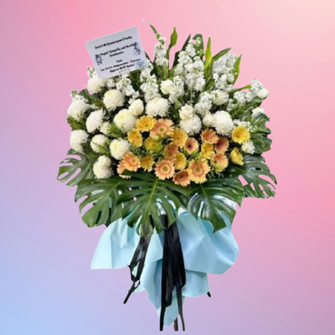 85065935-removebg-preview