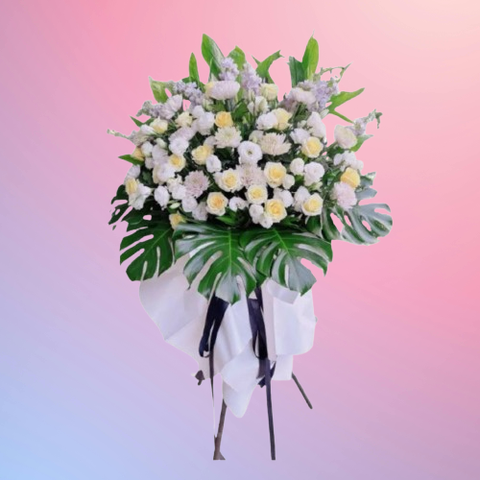 85065187-removebg-preview