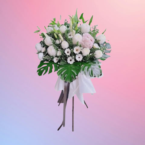 85063243-removebg-preview