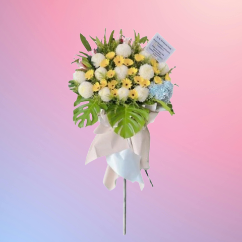 85070395-removebg-preview