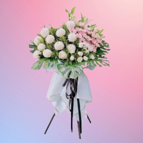 85069071-removebg-preview