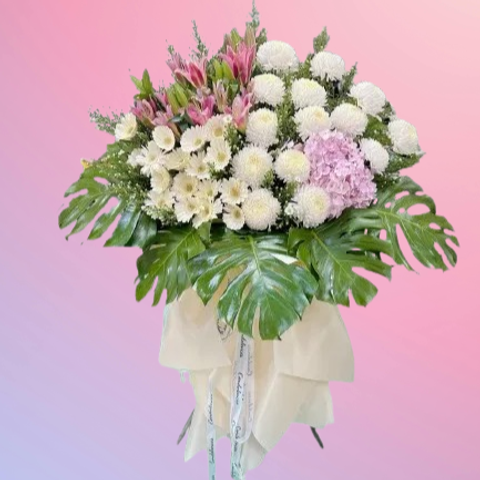 85018614-removebg-preview