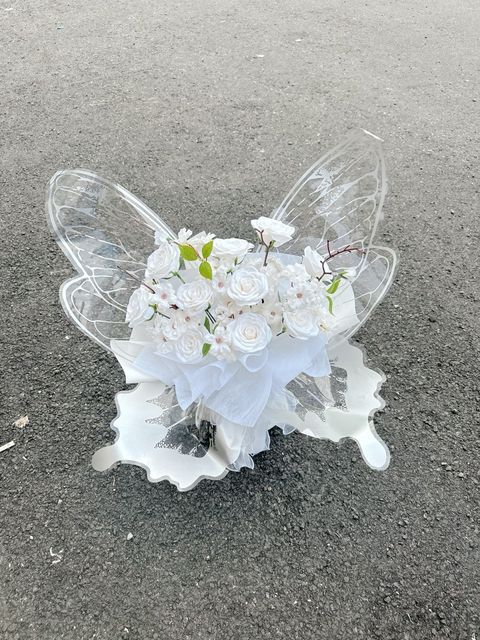 photo_6323290285169297073_y