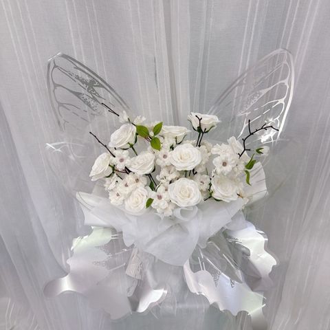 photo_6323290285169297069_y