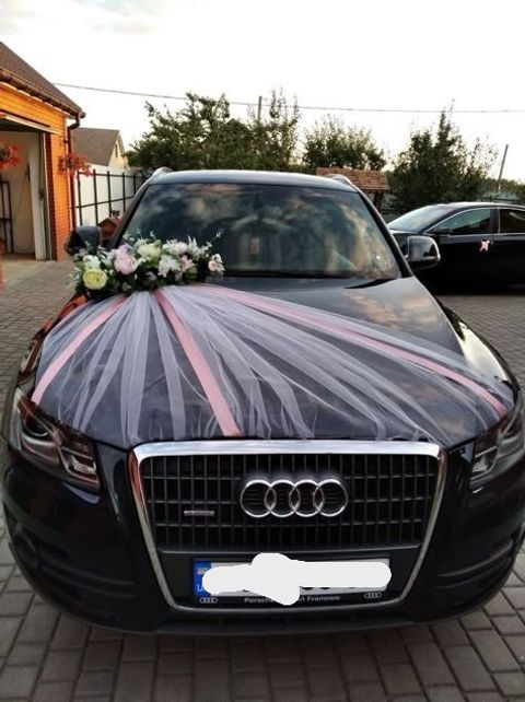 photo_6300945911085384806_x