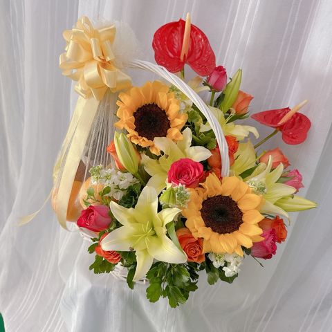 photo_6212751248743057504_y