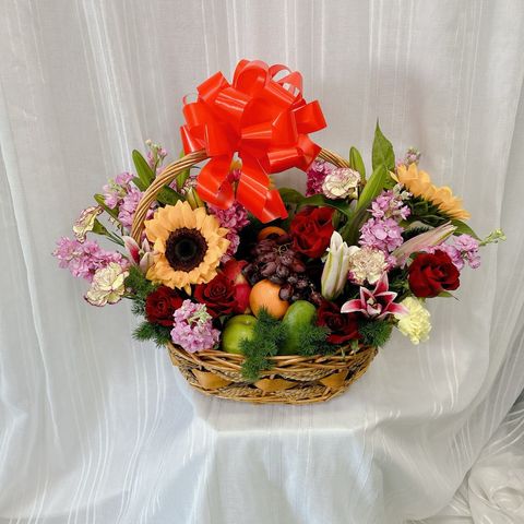 photo_6201863781525603748_y