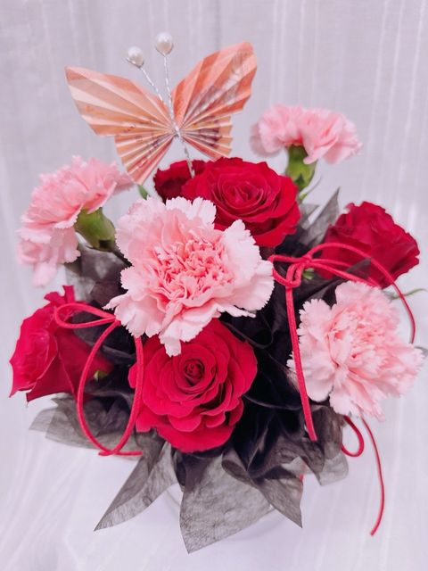 photo_6334541626311034109_y (1)