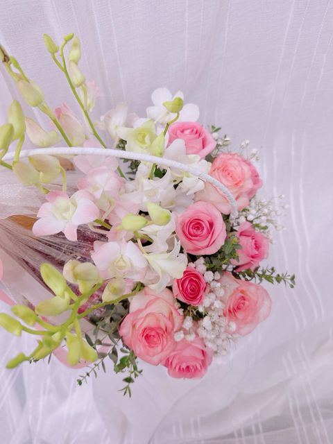 photo_6091454654975165749_y