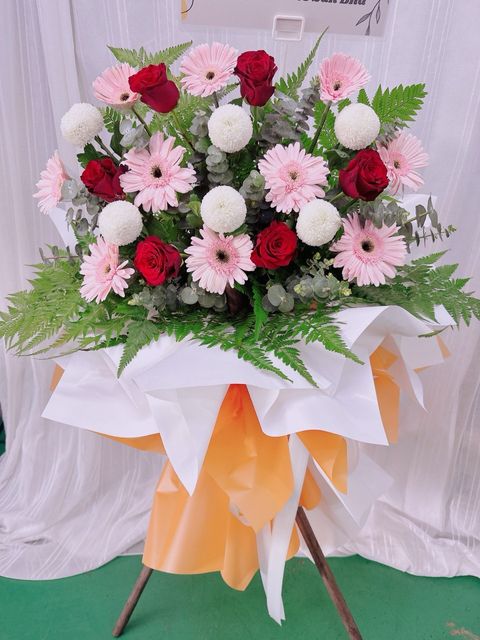 photo_6071369296249996160_y