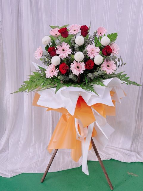 photo_6163576106586850422_y