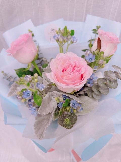 photo_6201860903897515475_y