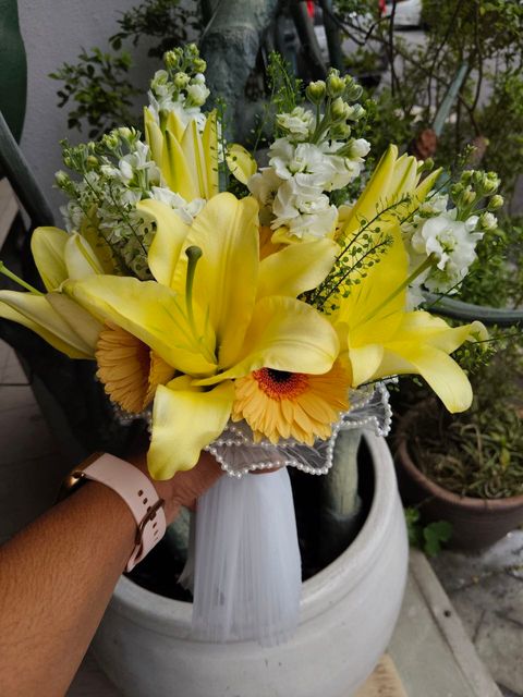 photo_6197353748037222872_y