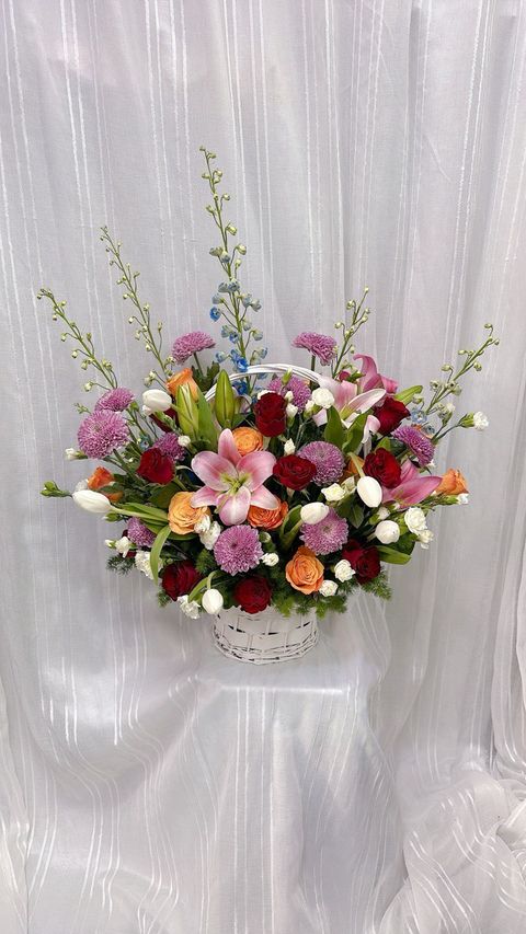 photo_6197002024575420403_y